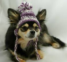 Patterns preceded by an plus sign (+) require free registration (to that particular pattern site, not to crochet pattern central) before viewing. Dog Hat With Ear Holes Free Crochet Pattern Google Search Crochet Dog Hat Crochet Dog Clothes Crochet Dog
