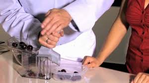 Maybe you would like to learn more about one of these? Dispozitiv De Scos Samburi Pentru Cirese Youtube