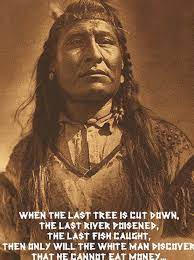 Native American Indian Wisdom In 2020 American Indian Quotes Native American Wisdom Native American Quotes