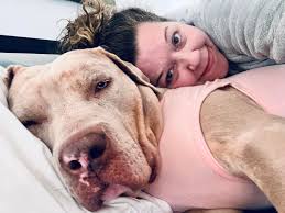 Where can you buy tiny clothes for females weighing about 1 lb