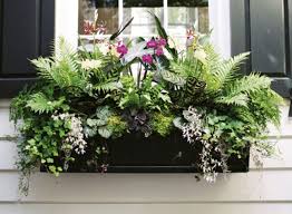 See more beautiful and blooming window boxes of charleston, here. Budding Prospects Charleston Sc Charleston Magazine