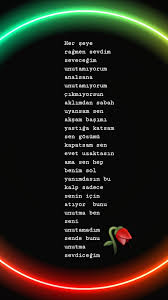Islam Ozbay Adli Kullanicinin R Panosundaki Pin Bunu Unutma