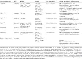 Frontiers Of Men And Mice Modeling The Fragile X Syndrome