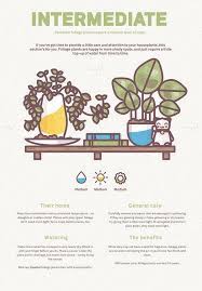 Infographic How To Choose And Care For Your House Plant Designtaxi Com House Plants Plants Cactus House Plants
