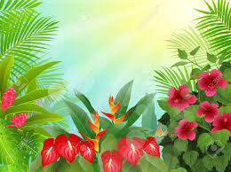 Tropical Forest Background Rainforest Tropical Tree Clipart Summer Illustration Art Wallpaper Forest Quilt