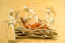 Sep 09, 2018 · mengutip daily mirror, sabtu (8/9/2018), dalam kepercayaan kristen maupun yahudi, kisah sapi merah terkait dengan nubuat akhir zaman. The Heifer Sapi Merah Yahudi Fitnah Fitnah Akhir Zaman