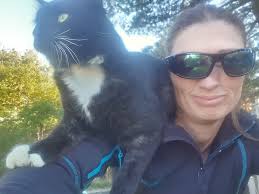 Seasonal accommodation for bus and caravan in Christchurch