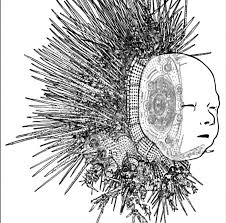 Deus Ex Machina Concept Art Gallery Movie Art Art