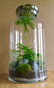 Cargo Laptop Bag Jardin Bocal Deco Plantes Et Idees Terrariums