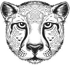 Then draw a curve starting from the face till down to make the neck and the front legs. Fyi Color With Music Coloring Books Just Slashed Their Prices Line Drawing Cheetah Face Coloring Books