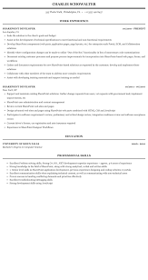 Sharepoint Developer Resume Sample Mintresume