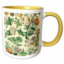 Amazon.com: 3dRose Vintage Botanical Flower Art Print Flowers for Gardeners  Garden Lover - Mugs (mug-365394-13) : Home & Kitchen