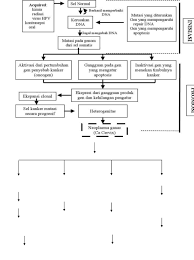 Maybe you would like to learn more about one of these? Asuhan Keperawatan Pada Pasien Dengan Kanker Serviks Pdf Txt