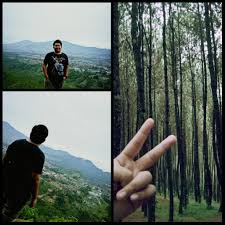 Berikut ini adalah kumpulan soal novel dan jawabannya. Contoh Soal Pilihan Ganda Tentang Tanaman Hias Brainly Co Id