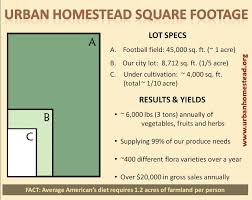 The Florida Homestead Urban Homesteading Acre Homestead Farm Layout
