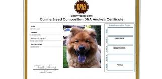 Baseado no regulamento sanitário internacional, o certificado internacional de vacinação ou profilaxia é um documento que pode comprovar a vacinação contra diversas doenças. Fazer Um Exame De Dna No Seu Cachorro Pode Ser Uma Boa Ideia Veja Por Que 09 04 2021 Uol Tilt