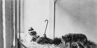 There, awaiting the artist, was a live coyote. Ronald Feldman Gallery Joseph Beuys