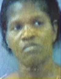 SC grandparents plead guilty to abuse with 'goat whips and shock collars'