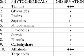 Image result for Morinda lucida