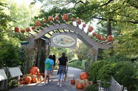 Check spelling or type a new query. Halloween Hoorah For Kids Of All Ages Plant Talk