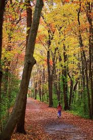 Gardiners Park Brightwaters Ny Park Country Roads Photo