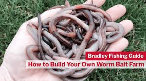Now when you've found a spot, start drilling holes on the container. How To Build Your Own Worm Bait Farm Bradley Smokers North America