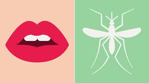 How can you address that? Study Reveals How Mosquitoes Find You And Decide To Bite Everyday Health