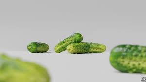 Cucumber 001 Cucumber Photorealistic Rendering 3d Model