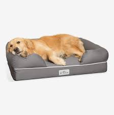 The best dog beds for large and small dogs, including cozy orthopedic beds for older dogs 10 best dog beds of 2021, according to pet experts. Best Dog Beds According To Dog Experts 2021 The Strategist New York Magazine