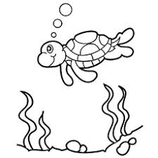 100% free sea life coloring pages. Top 10 Free Printable Cute Sea Turtle Coloring Pages Online