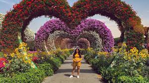 Maybe you would like to learn more about one of these? Miracle Garden Dubai 2019 World S Largest Natural Flower Garden Youtube