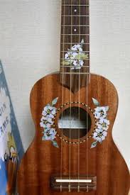 Light grey kitchen ideas uke strings sounds. 280 My Wish List Ideas Lelo And Stitch Ukulele Art Disney Room Decor