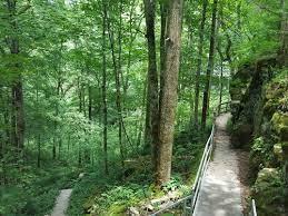 Hiking project is built by hikers like you. Best Trails In Mammoth Cave National Park Alltrails