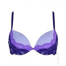 ووردبريس إنشاء ملف الإعدادات Bra Traveling By Yourself Plunge Bra