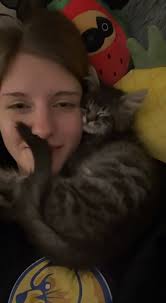 Cats have no personal space #jasper #catsoftiktok #catstiktok  #catsofinstagram