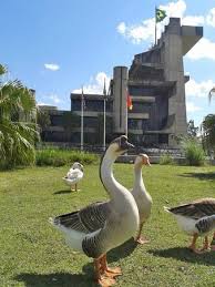 Ionic,prefeituradesorocaba,communication,prefeitura,sorocaba, application.get free io.ionic.prefeituradesorocaba apk free download version 3.1.0. Prefeitura De Sorocaba Picture Of Palacio Dos Tropeiros Sorocaba Tripadvisor