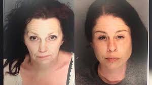 Officials: K-9 catches jail visitors trying to smuggle drugs