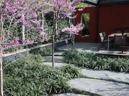 Bluestone Crazy Paving Stepping Stone Pavers By Garden Paving Crazy Paving Outdoor Paving