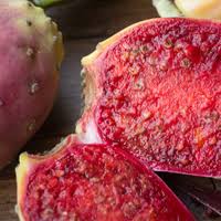 If you are looking for a rare cactus or a beautiful succulent, you'll be. Arizona Cactus Ranch 100 Pure Prickly Pear Concentrate