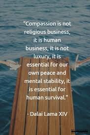  Pin On Zen Peace Mindfulness