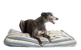 Best chew proof dog bed. What S The Best Indestructible Dog Bed