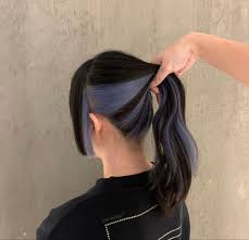 Split Half Under Blue And Black Dyed Hair Hair Color Streaks Hair Color Underneath Hair Dye Colors