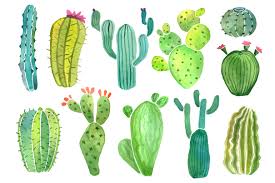 Abstract iphone wallpaper phone screen wallpaper watercolor wallpaper iphone background wallpaper black wallpaper kaktus illustration succulents wallpaper hanging digital illustration paper cactus. Watercolor Cactus And Succulent Set Cactus Backgrounds Watercolor Cactus Iphone Wallpaper