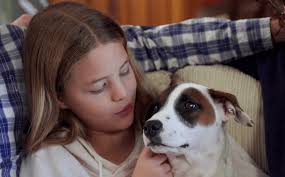 The Dog House NZ is perfect reality television