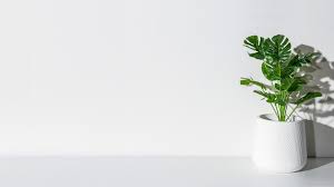 Maybe you would like to learn more about one of these? Plain Zoom Background Images Nice Wall Virtual Calls Meeting Backgrounds