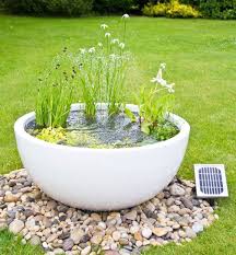 Petit Bassin Aquatique En Recipient A Faire Soi Meme 13 Idees Super Originales Jardin D Eau Bassin Aquatique Et Jardin Contemporain