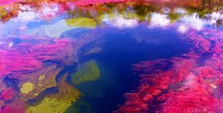 Caño cristales i villavicencio (meta). Cano Cristales El Rio Que Tiene Todos Los Colores Del Arcoiris