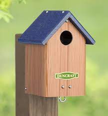 Duncraft Com Bluebird Post Tree Mount House