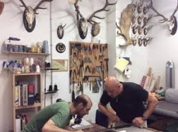 Tapicería ( en general ! ) David Narro