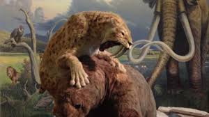 Magical, meaningful items you can't find anywhere else. Humans Not Climate Change To Blame For Ice Age Animal Extinction Iflscience